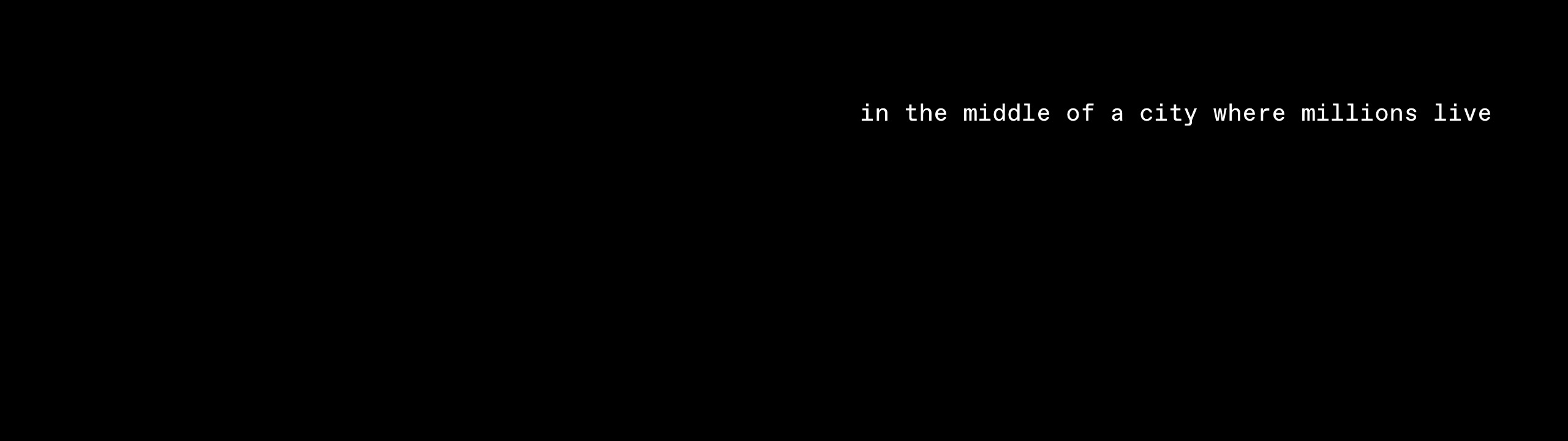 arcade%2007.jpeg